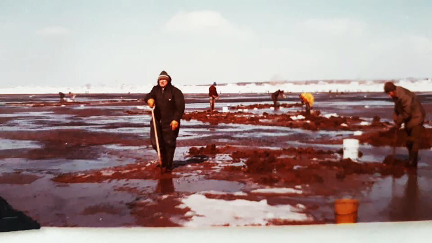 Une séance de pêche à la coque, en 1985.
