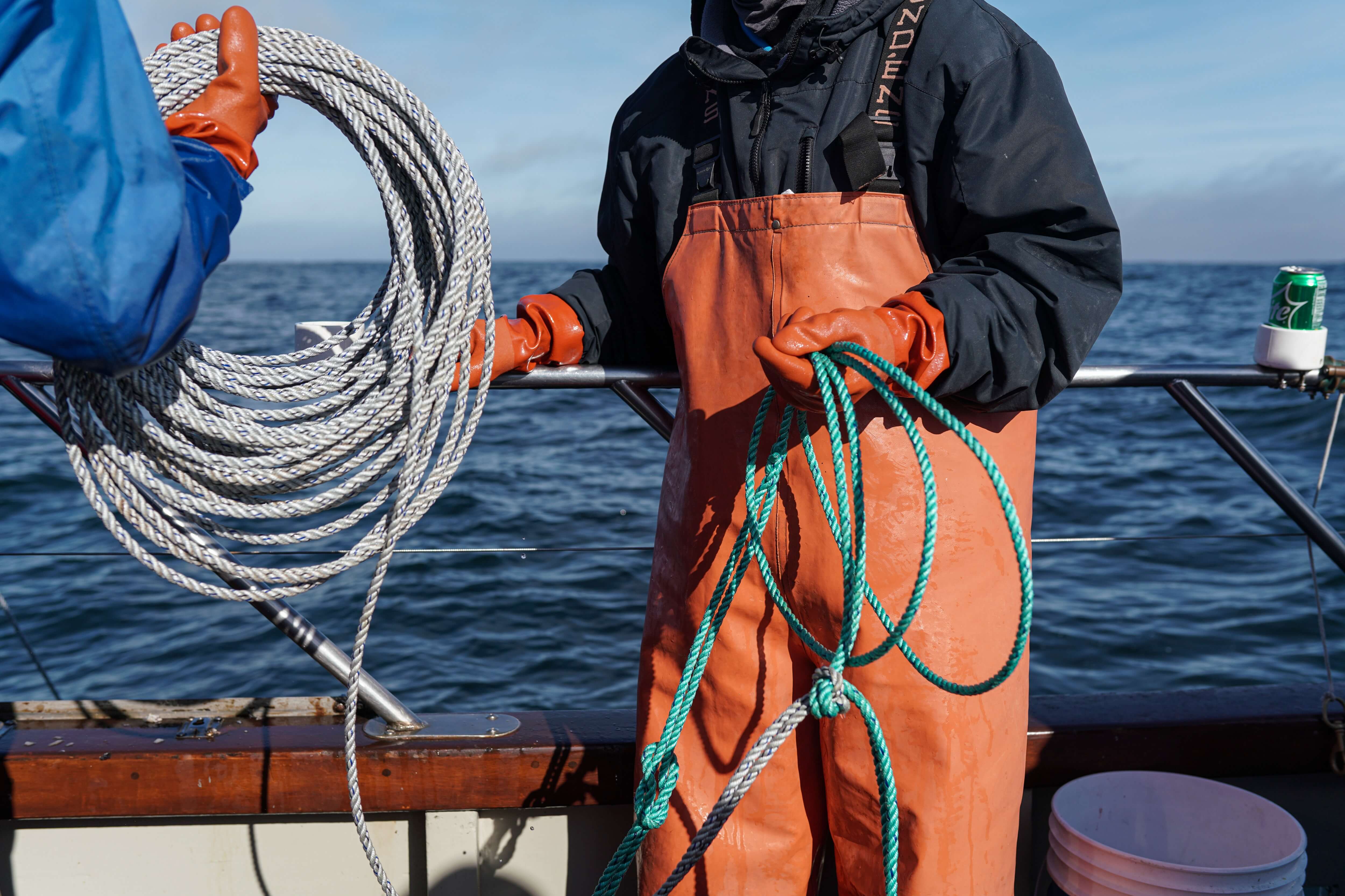 Une nouvelle technologie de pêche au crabe sans cordage.